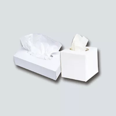 Mi teszi a Box Facial Sisue -t az intelligens választás mindennapi használatra?